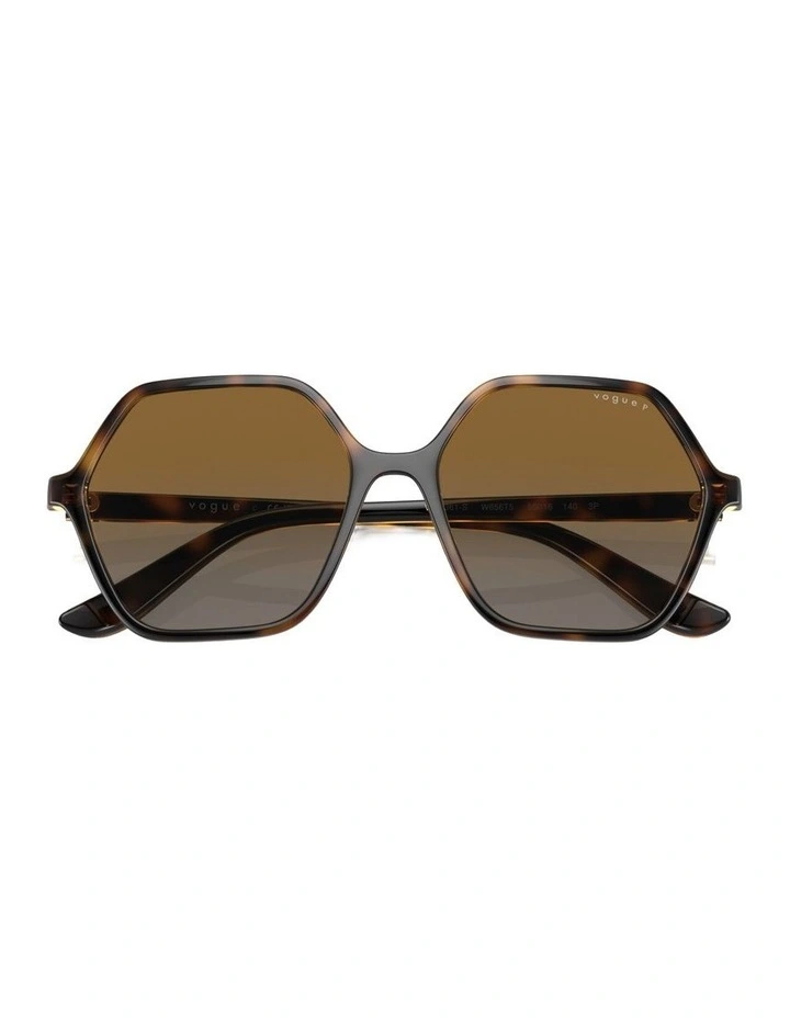 Injected Polarised Sunglasses in Brown image 4