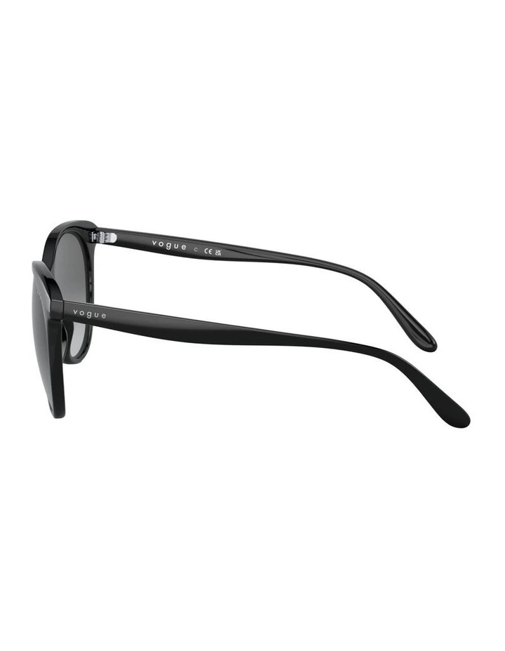 Injected Sunglasses in Black image 2