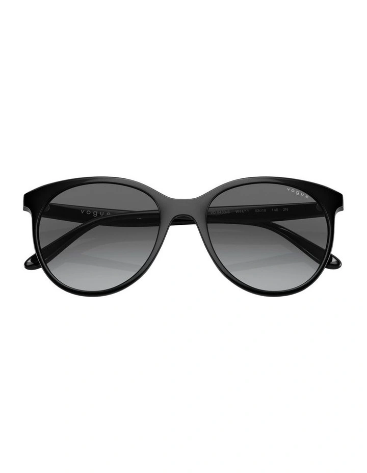 Injected Sunglasses in Black image 3