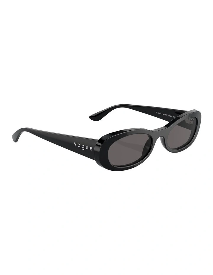 Acetate Sunglasses in Black image 4