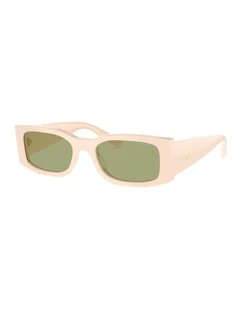 Acetate Sunglasses in Beige