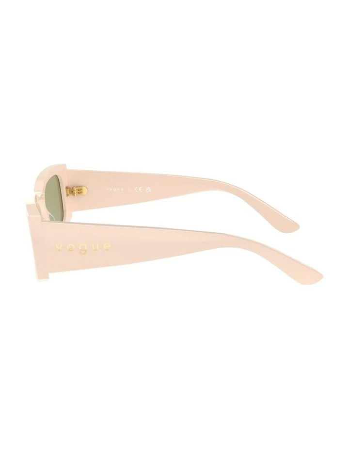 Acetate Sunglasses in Beige image 3