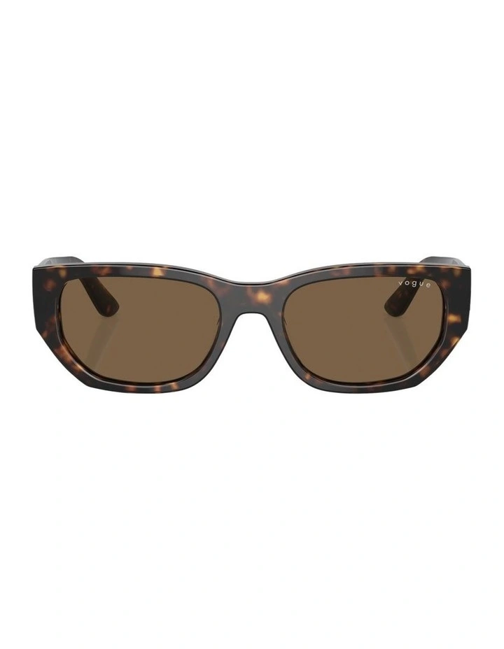 Acetate Sunglasses in Brown image 2