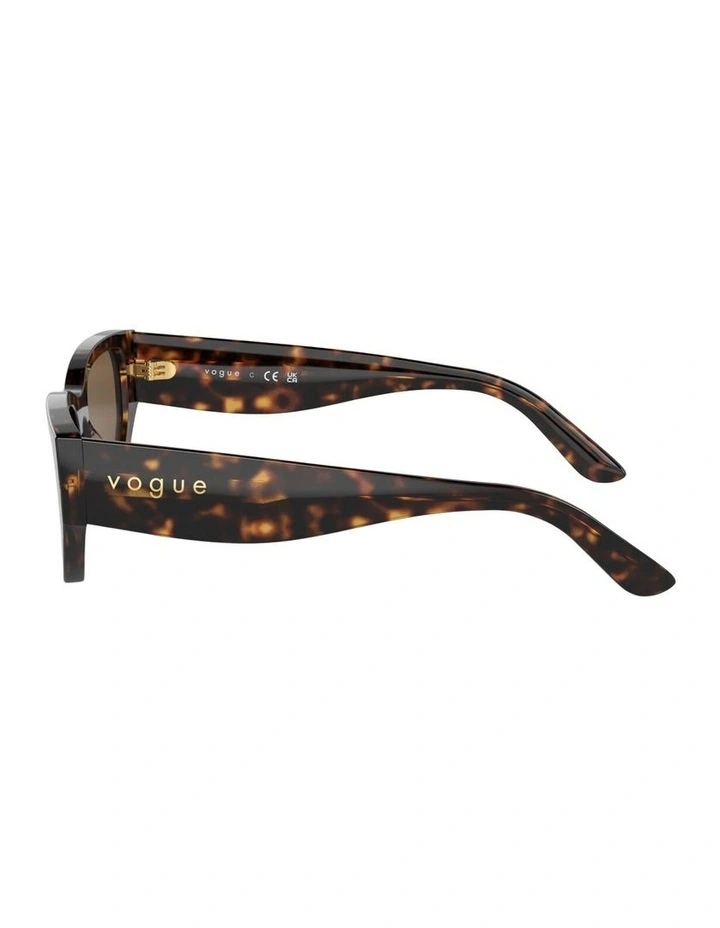 Acetate Sunglasses in Brown image 3