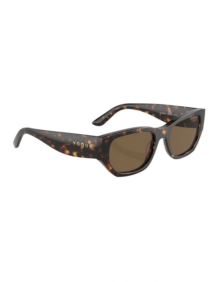 Acetate Sunglasses in Brown image 5