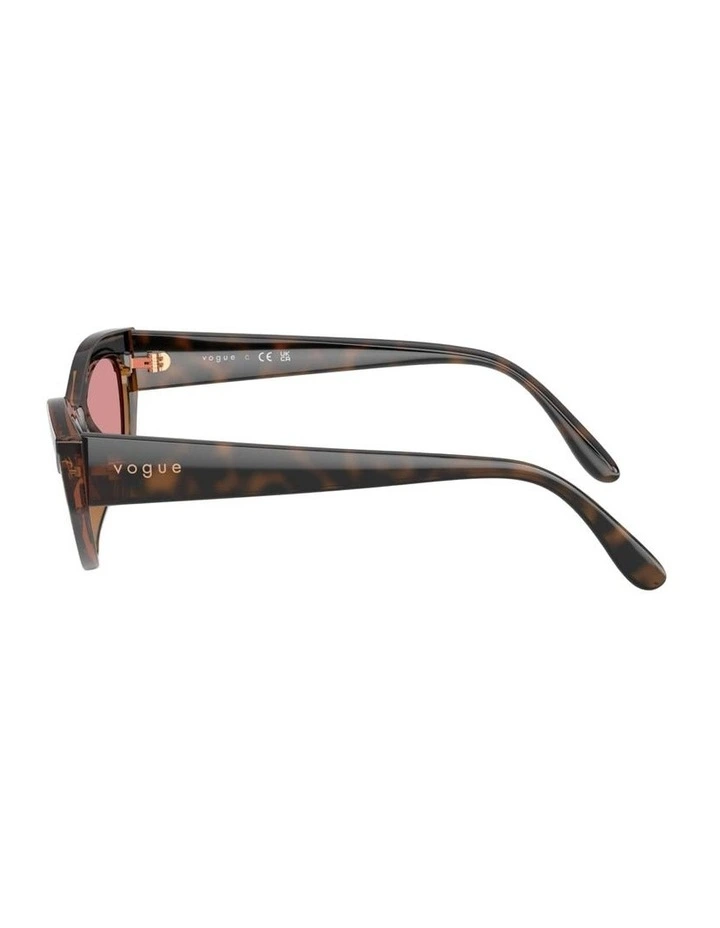 Nylon Sunglasses in Brown image 3
