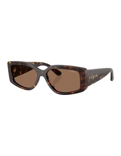 Acetate Sunglasses in Brown