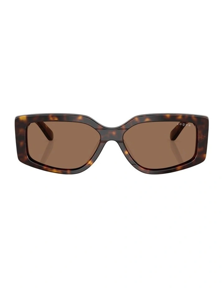 Acetate Sunglasses in Brown image 2