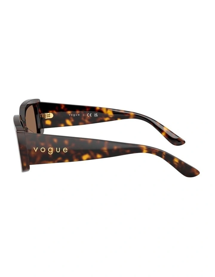 Acetate Sunglasses in Brown image 3