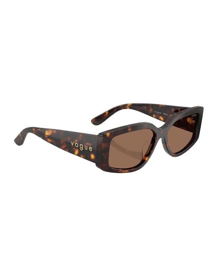 Acetate Sunglasses in Brown image 5