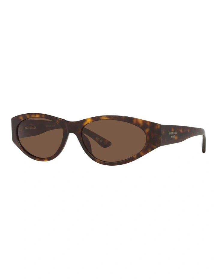 Balenciaga BB0367S Acetate Sunglasses in Tortoise image 1