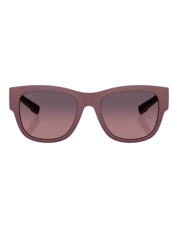 Netplus Plum colour