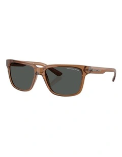 Armani Exchange Injected Sunglasses in Brown