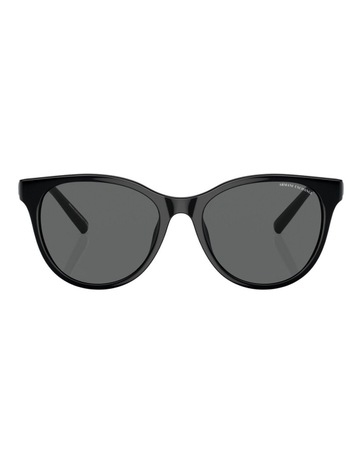 Shiny Black colour