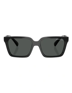Armani Exchange  Injected Sunglasses in Grey