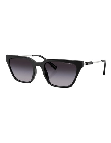 Shiny Black colour