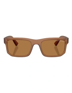 Armani Exchange  Injected Sunglasses in Brown
