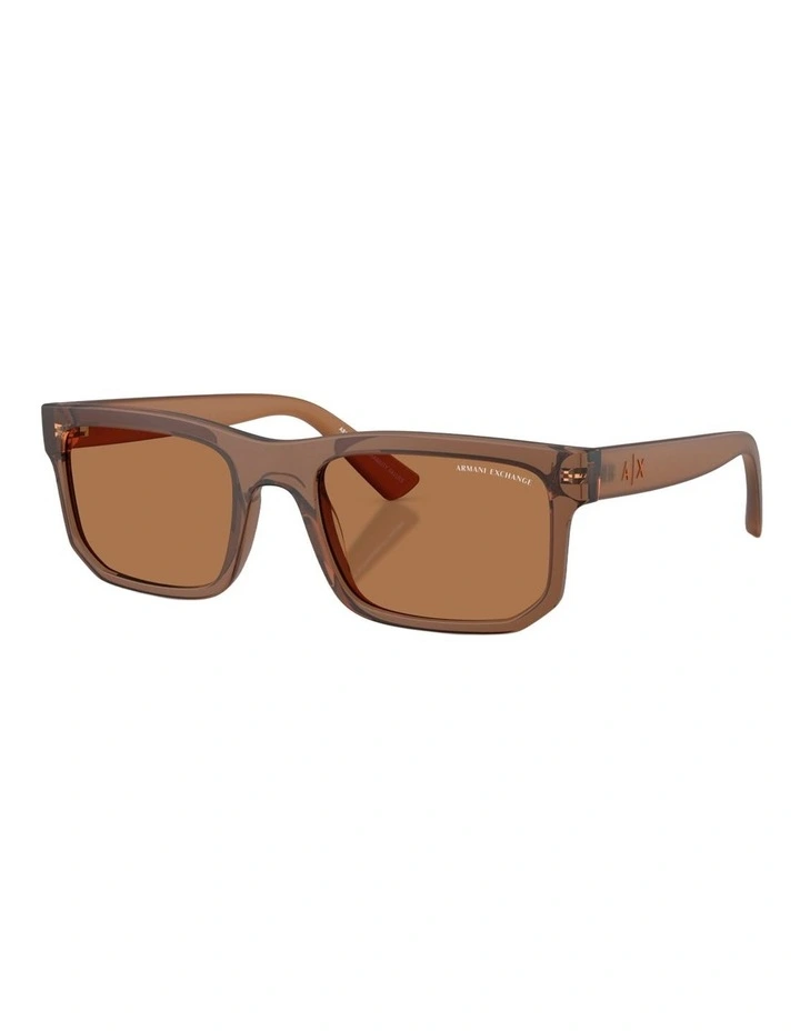 Armani Exchange Acetate Sunglasses in Brown image 1