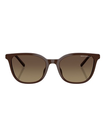 Shiny Dark Brown colour