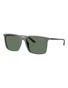 Armani Exchange  Injected Sunglasses in Grey