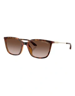 Armani Exchange  Injected Sunglasses in Tortoise