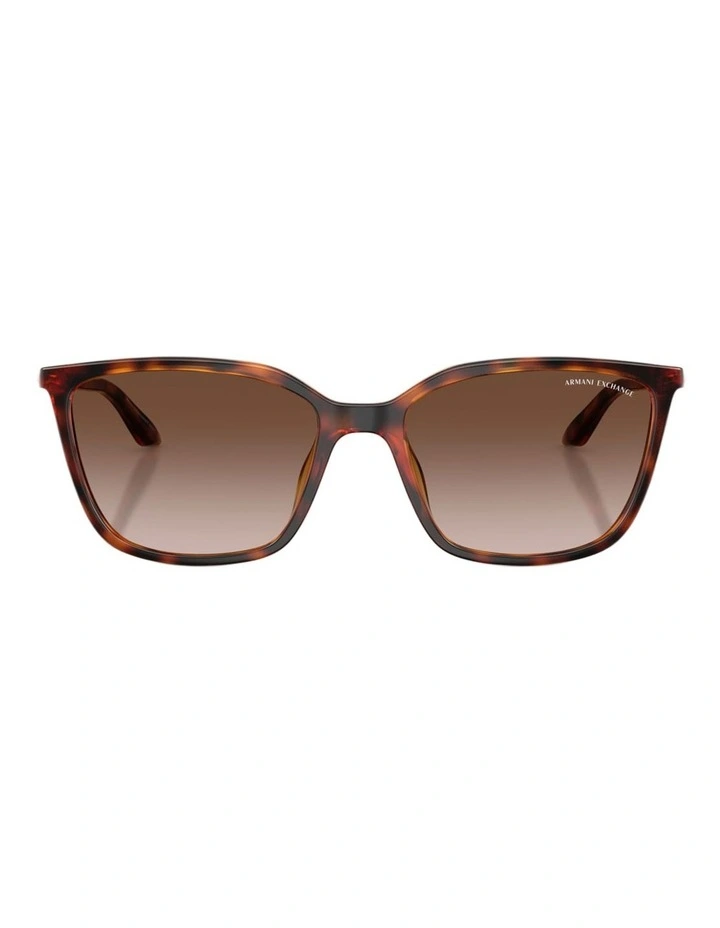 Armani Exchange Injected Sunglasses in Tortoise image 2