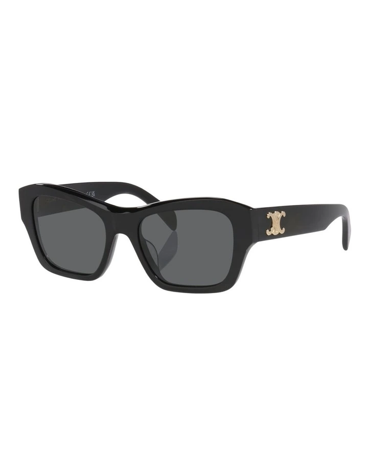 Celine Triomphe CL40330U Acetate Sunglasses in Black image 1