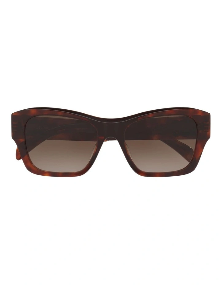 Celine Triomphe CL40330U Acetate Sunglasses in Tortoise image 3