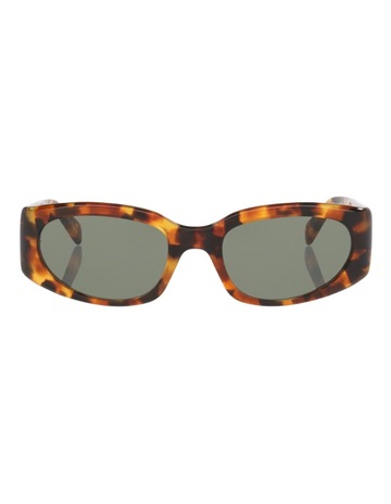 Tortoise colour