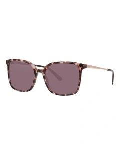 DbyD  Acetate Sunglasses in Tortoise