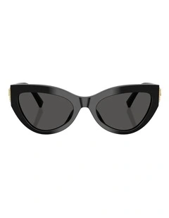 Dolce&Gabbana  Acetate Sunglasses in Black