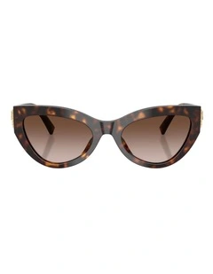 Dolce&Gabbana  Acetate Sunglasses in Tortoise