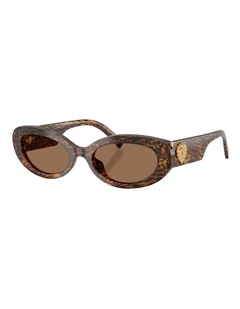 Dolce&Gabbana  Acetate Sunglasses in Brown