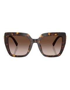 Dolce&Gabbana  Acetate Sunglasses in Tortoise