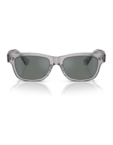 Workman Grey colour