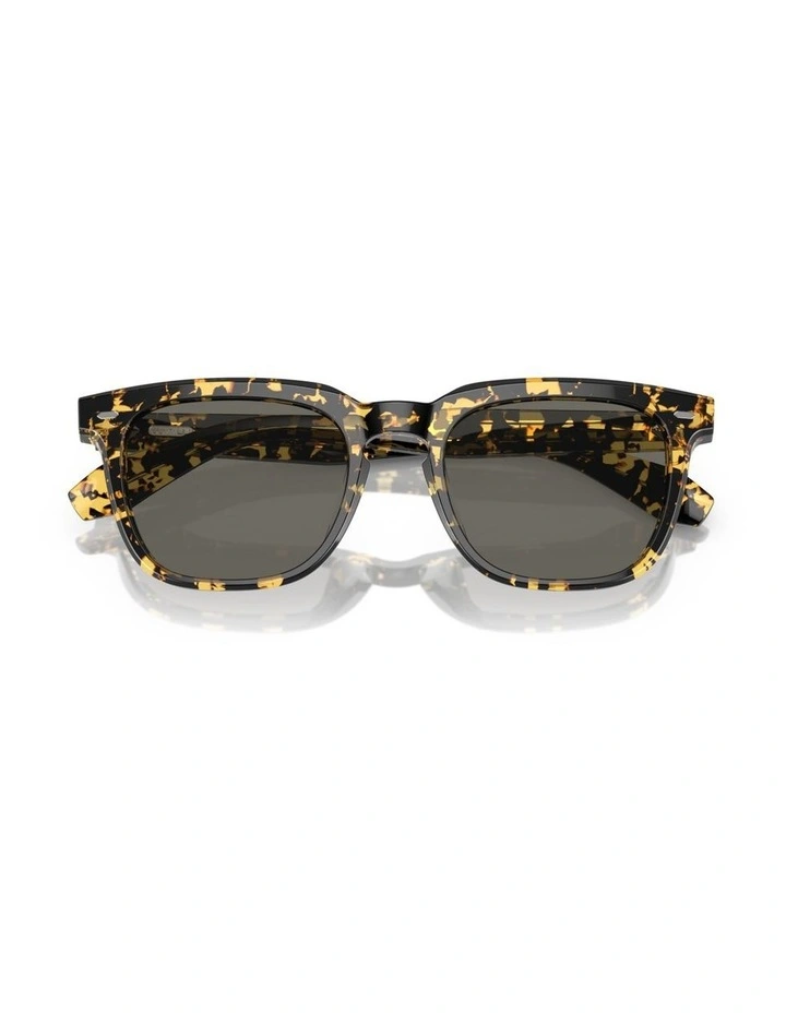 Oliver Peoples N.06 Sun Acetate Sunglasses in Tortoise image 5