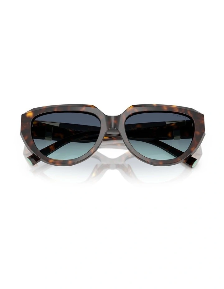 Tiffany & Co. Acetate Sunglasses in Tortoise image 3