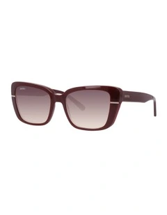 Unofficial  Injected Polarised Sunglasses in Red