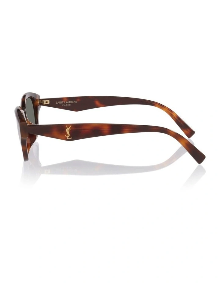 M172/F Acetate Sunglasses in Tortoise image 2
