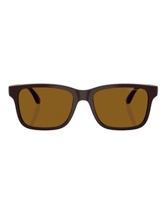 Arnette  Injected Polarised Sunglasses in Brown