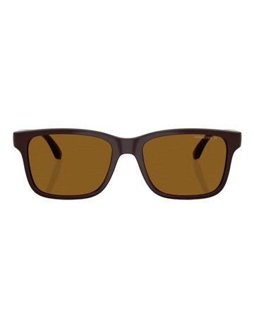 Chocolate colour