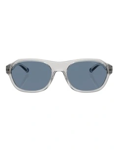 Arnette  Injected Polarised Sunglasses in Grey