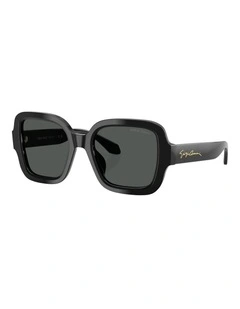 Giorgio Armani  Acetate Sunglasses in Black