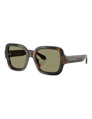 Brown Tortoise colour
