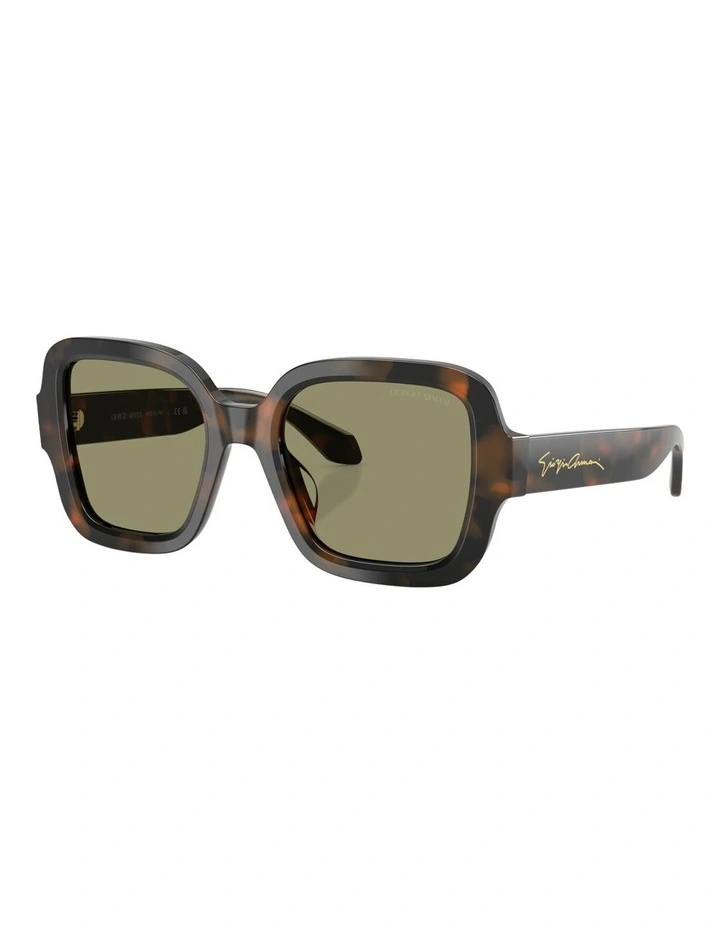 Giorgio Armani Acetate Sunglasses in Tortoise image 1