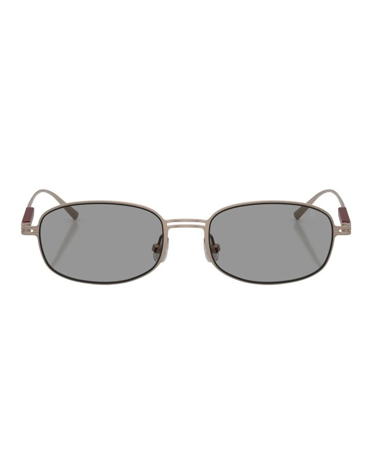 Brunello Cucinelli  Titanium Sunglasses in Pink image 2