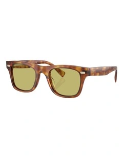 Brunello Cucinelli Mr.Brunello Acetate Sunglasses in Tortoise