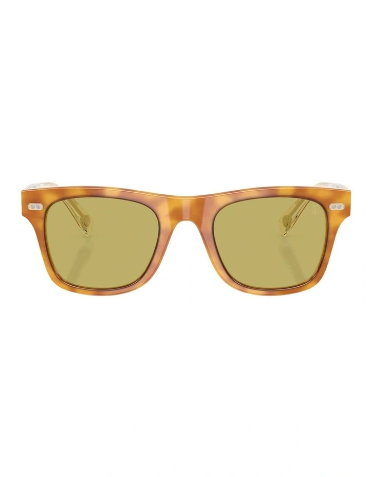 Brunello Cucinelli Mr. Brunello Acetate Sunglasses in Brown image 2
