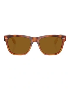 Brunello Cucinelli  Acetate Sunglasses in Tortoise