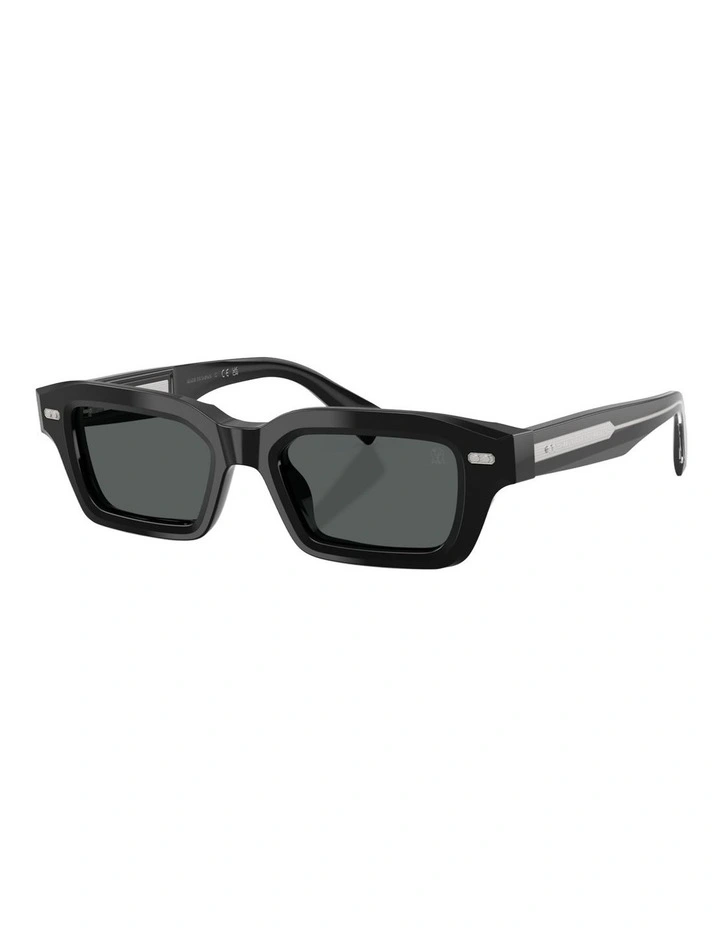 Brunello Cucinelli MARLA Acetate Polarised Sunglasses in Black image 1